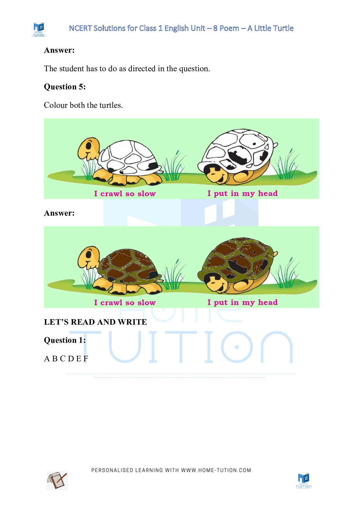NCERT Solutions for Class 1 English Unit 8 Poem - A Little Turtle
