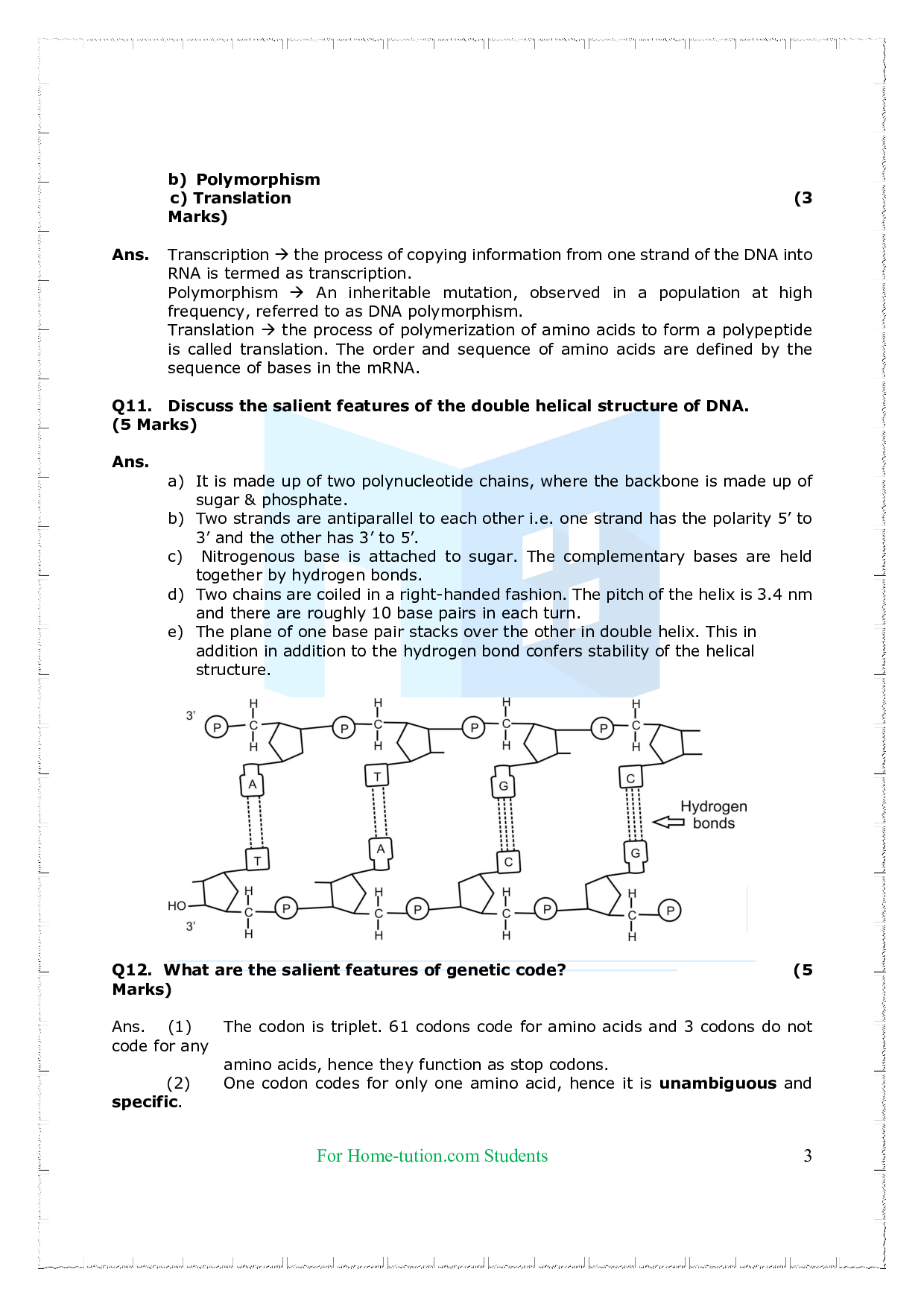 Chapter-6 Molecular Basis of Inheritance Questions