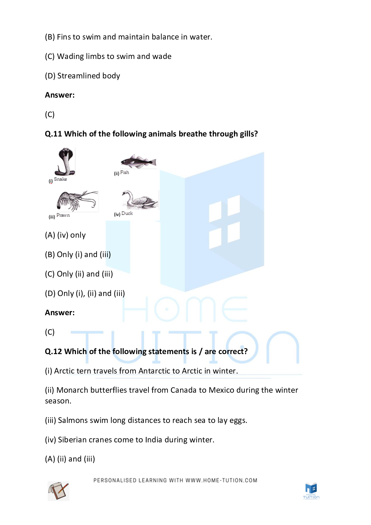 CBSE Class 5 Worksheet for EVS Chapter Animals Questions with Answers