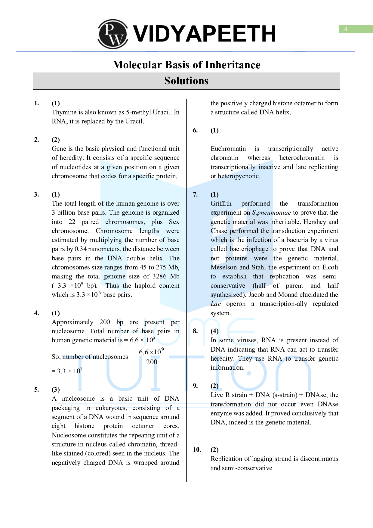 Biology MCQ Questions for CUET Chapter 6 Molecular Basis of Inheritance