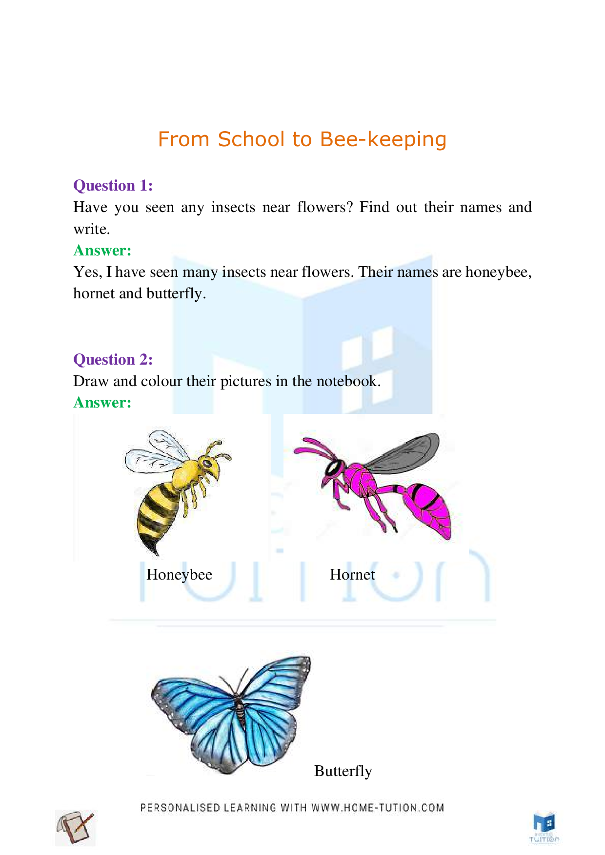 NCERT Class 4 EVS Chapter-5 Anita and the Honeybees