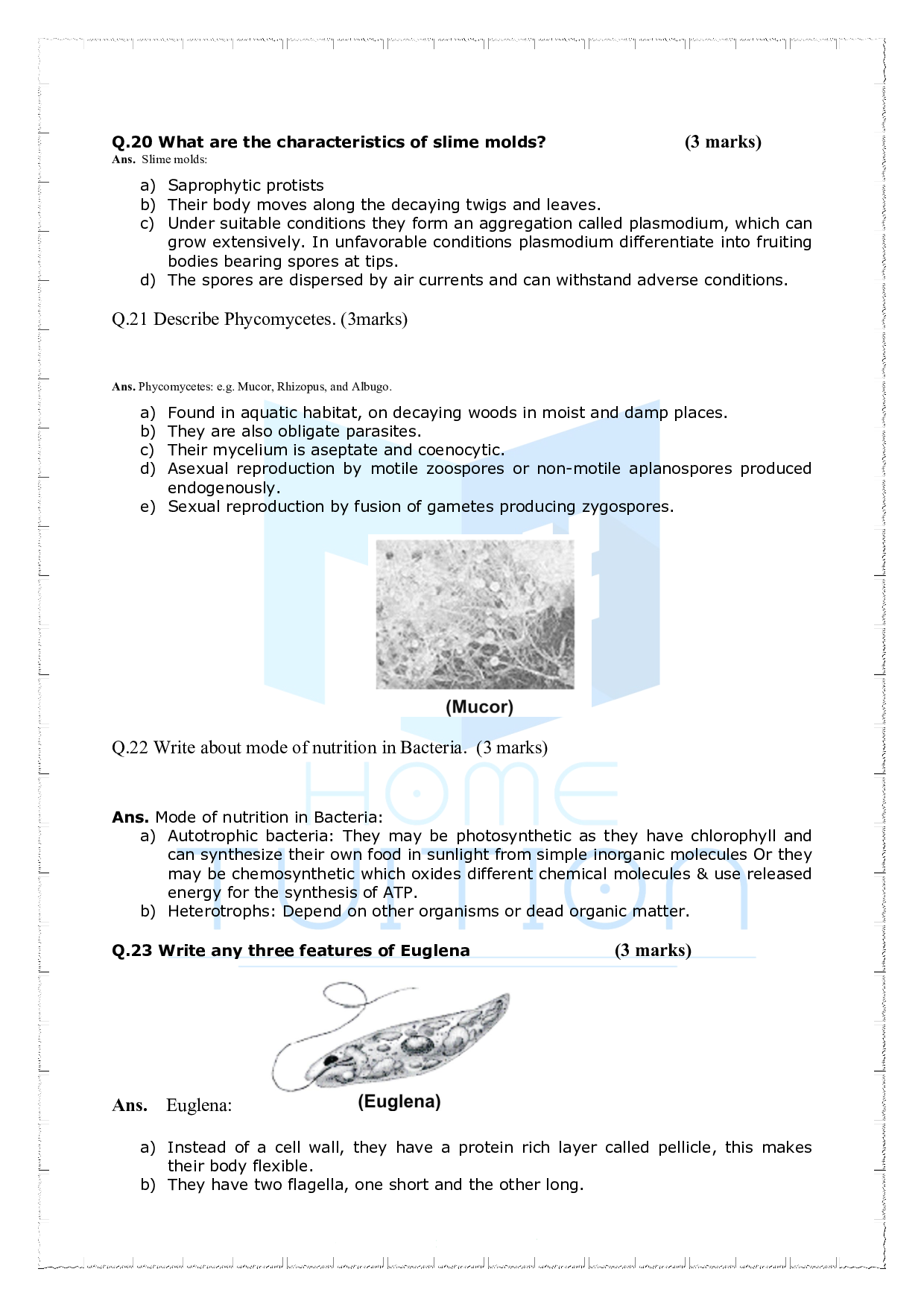 Chapter 2 Biological Classification Important Questions