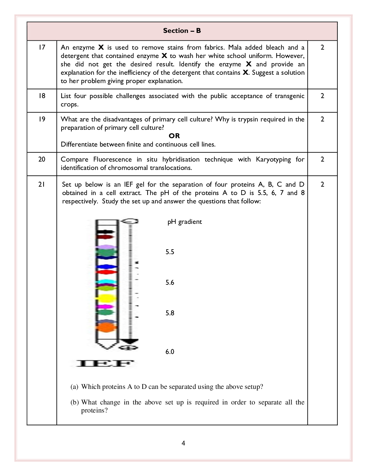 Class 12 Sample Papers for Biotechnology