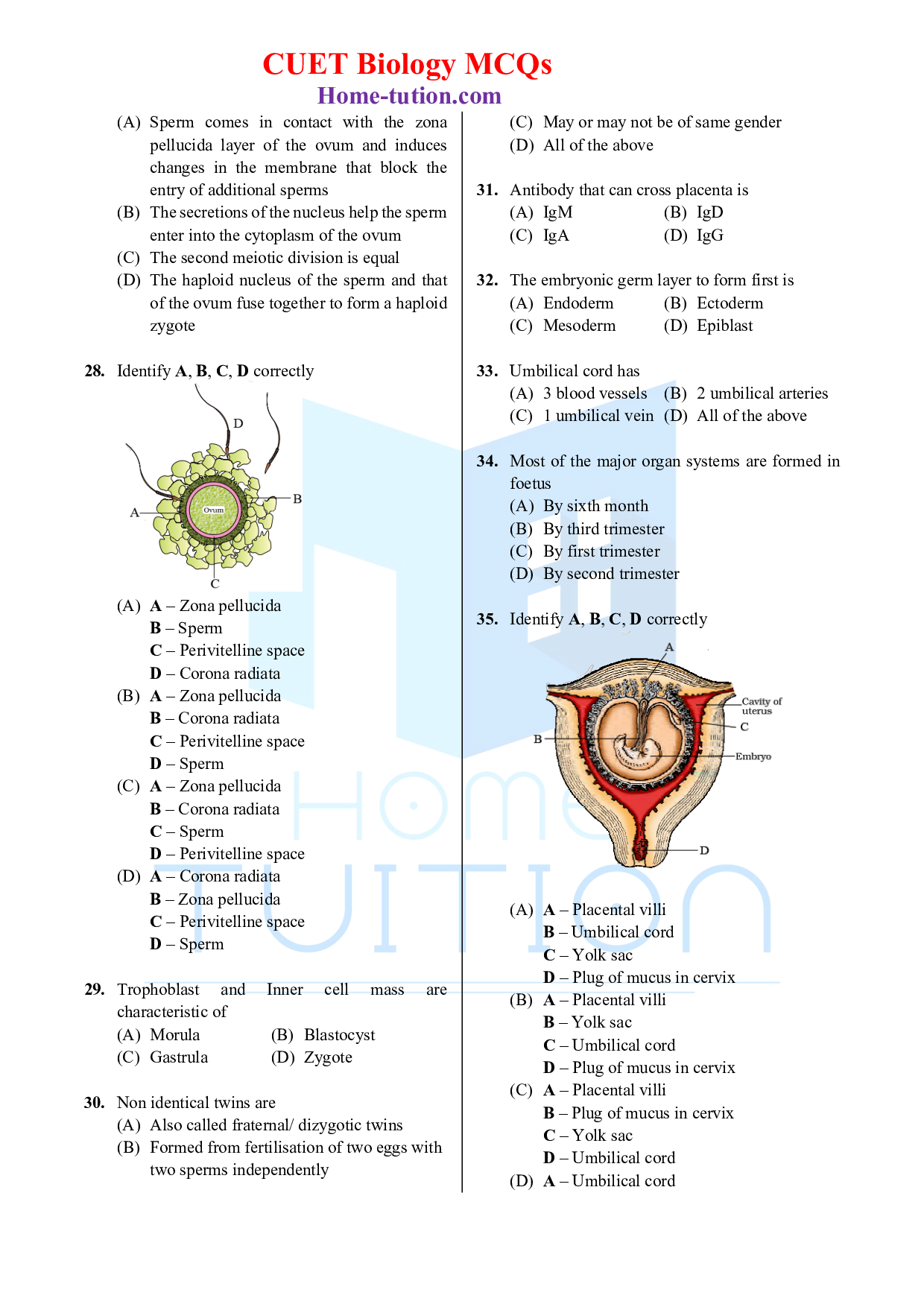 Biology MCQ Questions for CUET Chapter 3 Human Reproduction