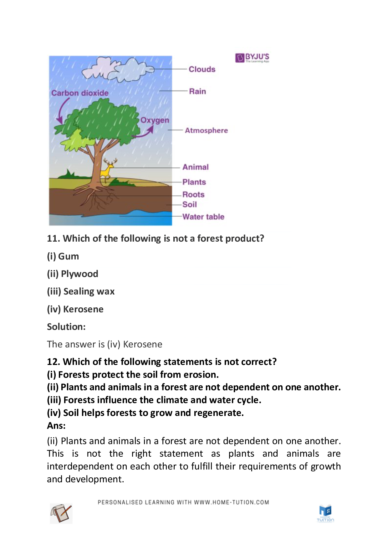Class 7 Science Chapter 17 – Forests: Our Lifeline