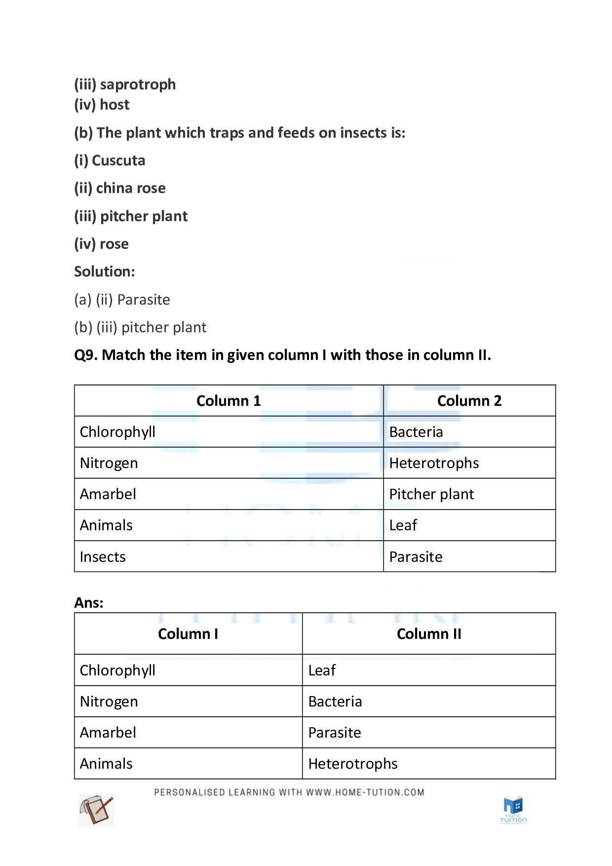 Class 7 Science Chapter 1 – Nutrition in Plants