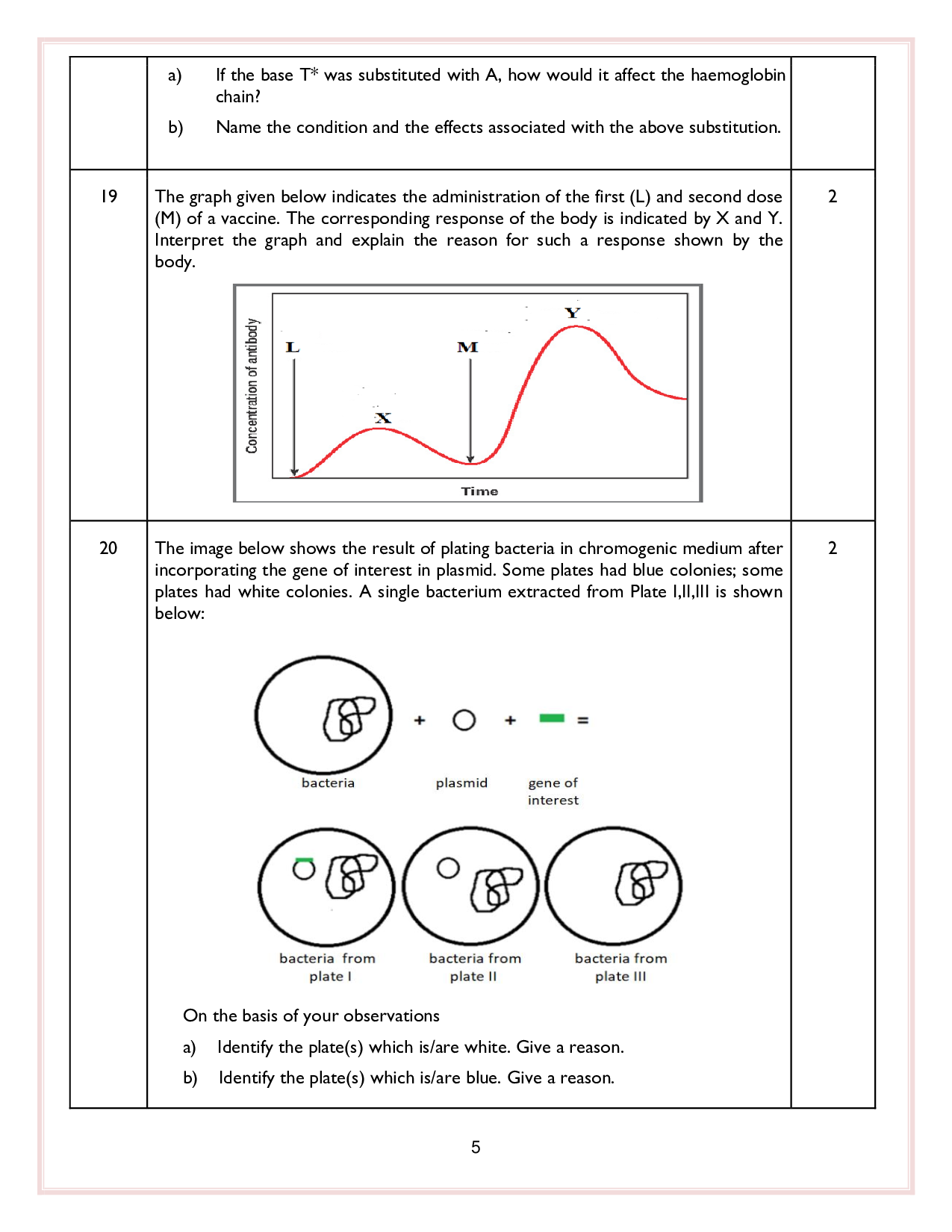 Class 12 Sample Papers for Biology