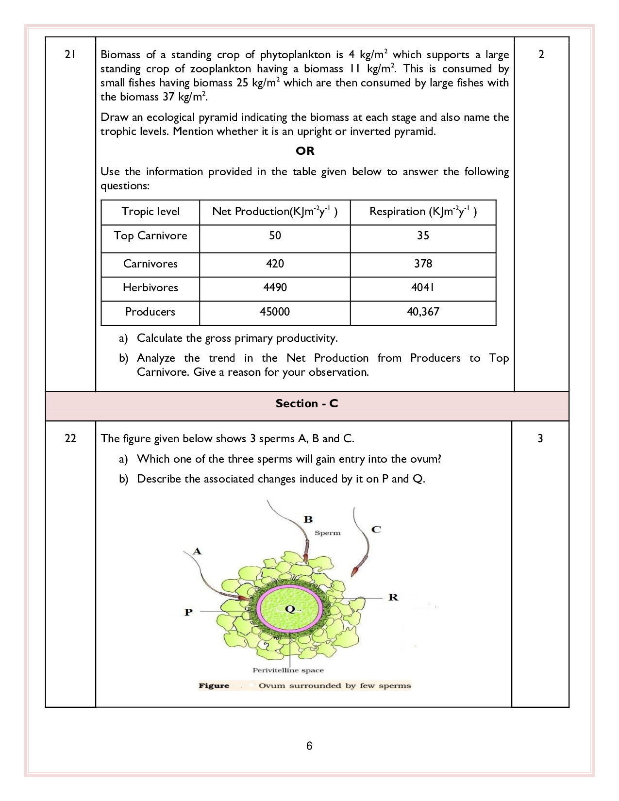 Class 12 Sample Papers for Biology