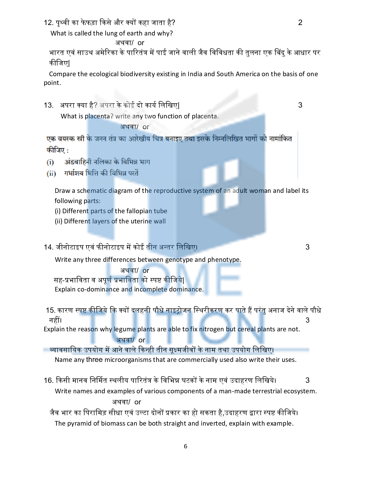 MPBSE 12th Sample Papers for Biology