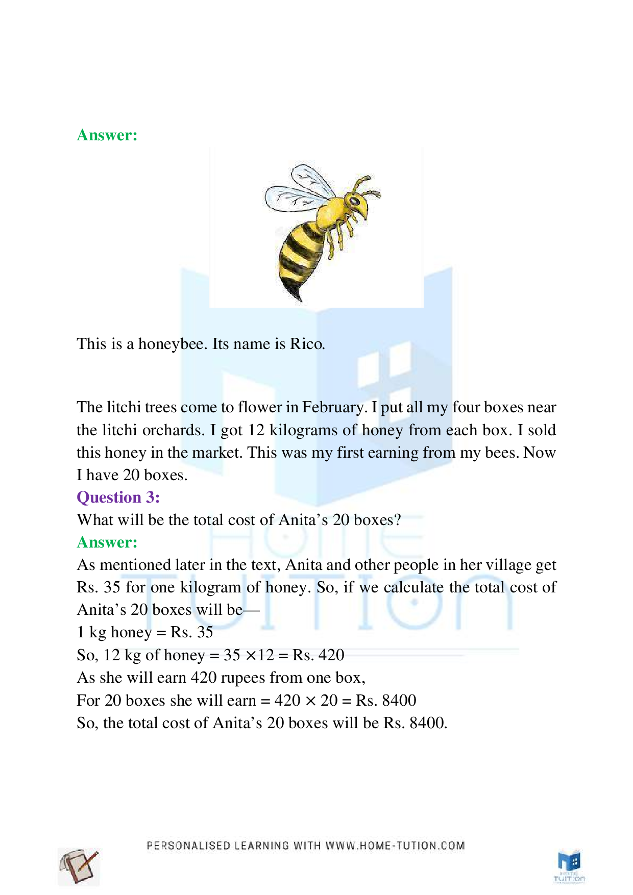 NCERT Class 4 EVS Chapter-5 Anita and the Honeybees