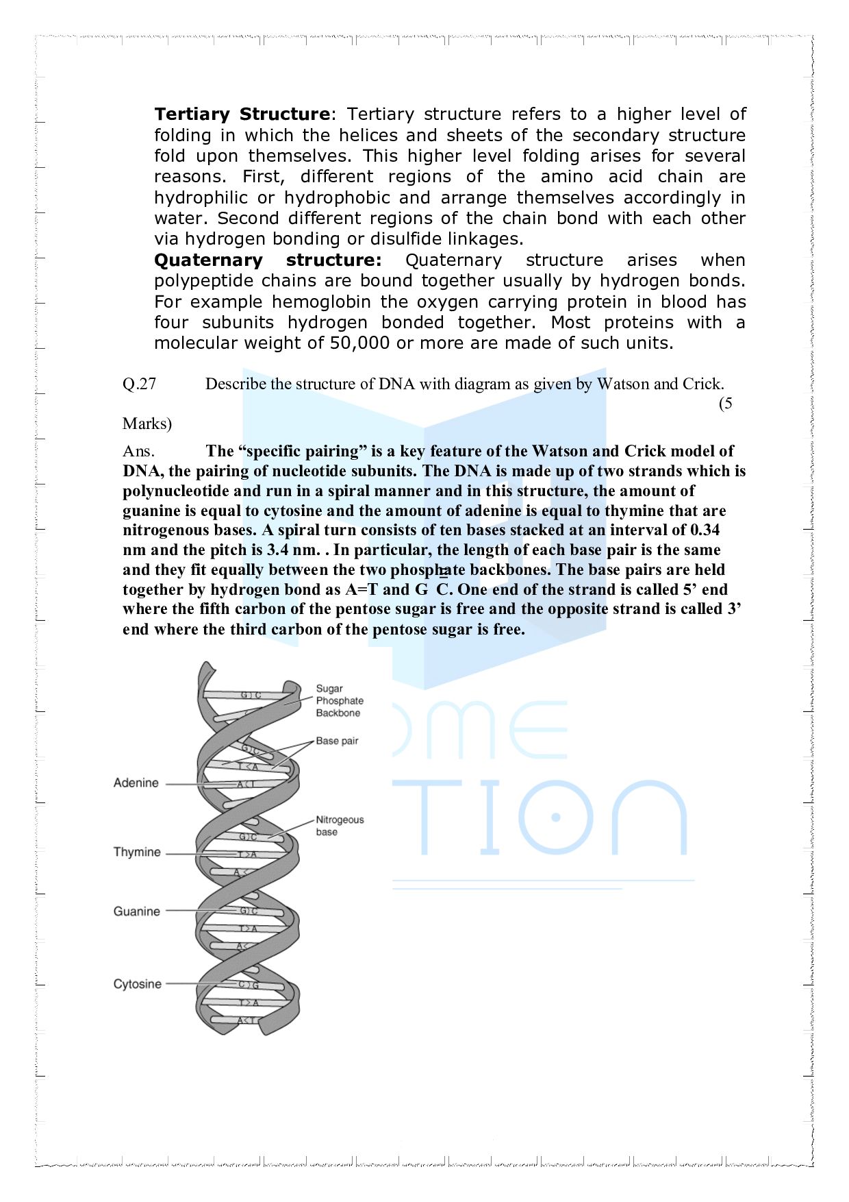 Chapter 9 Biomolecules Important Questions