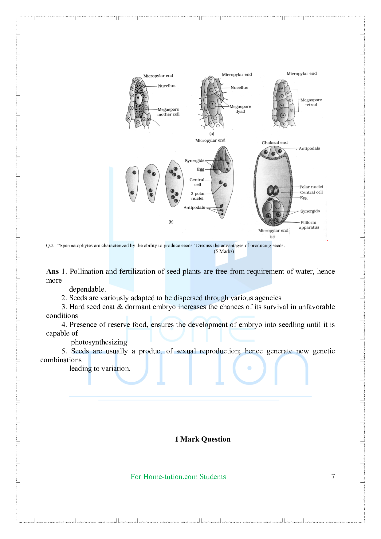 Chapter 2 Sexual Reproduction in Flowering Plants Questions