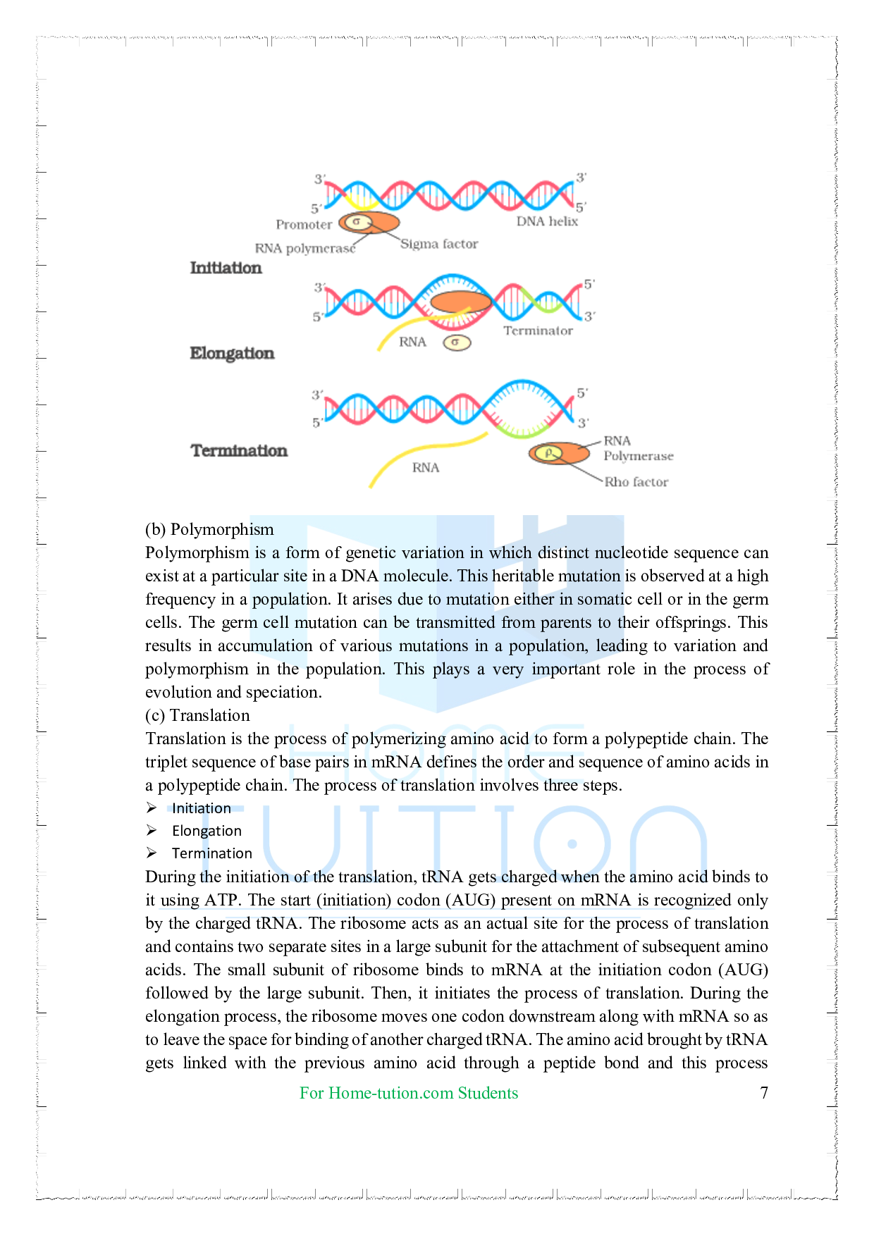 Chapter 6 Molecular Basis of Inheritance