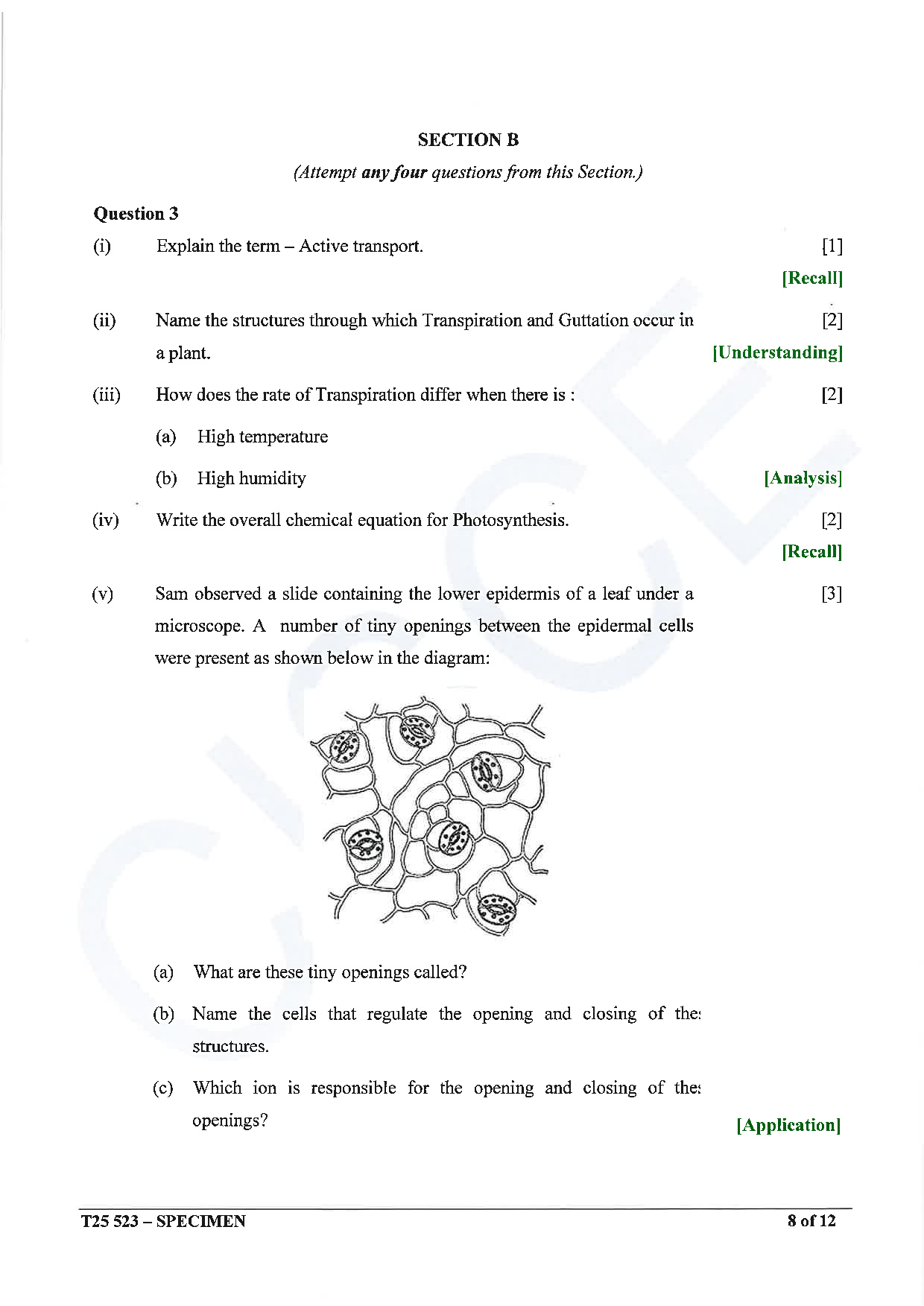 ICSE Board Sample Paper for class 10 Biology