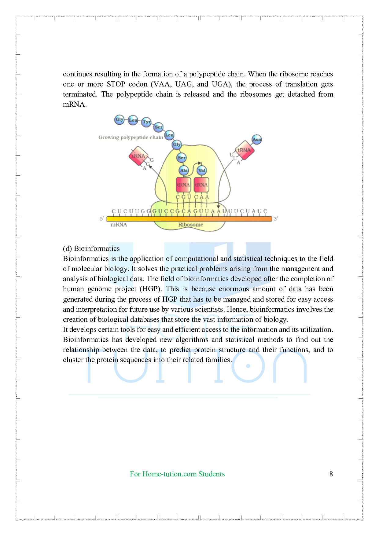 Chapter 6 Molecular Basis of Inheritance