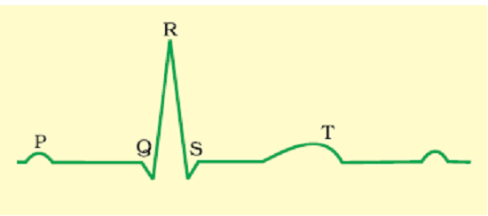 Chapter – 11 | Biology 