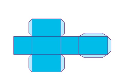 Cuboid Net