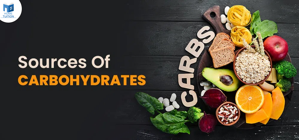 Sources of Carbohydrates