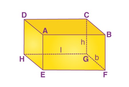 Surface Area of Cuboid