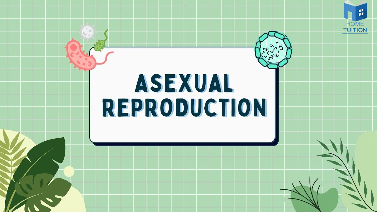 Asexual Reproduction