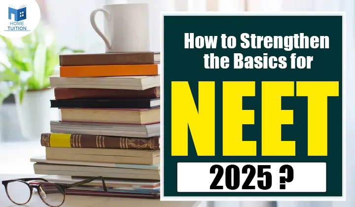 How to Strengthen the Basics for NEET 2025?