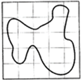 irregular shapes which are drawn on a graph sheet 