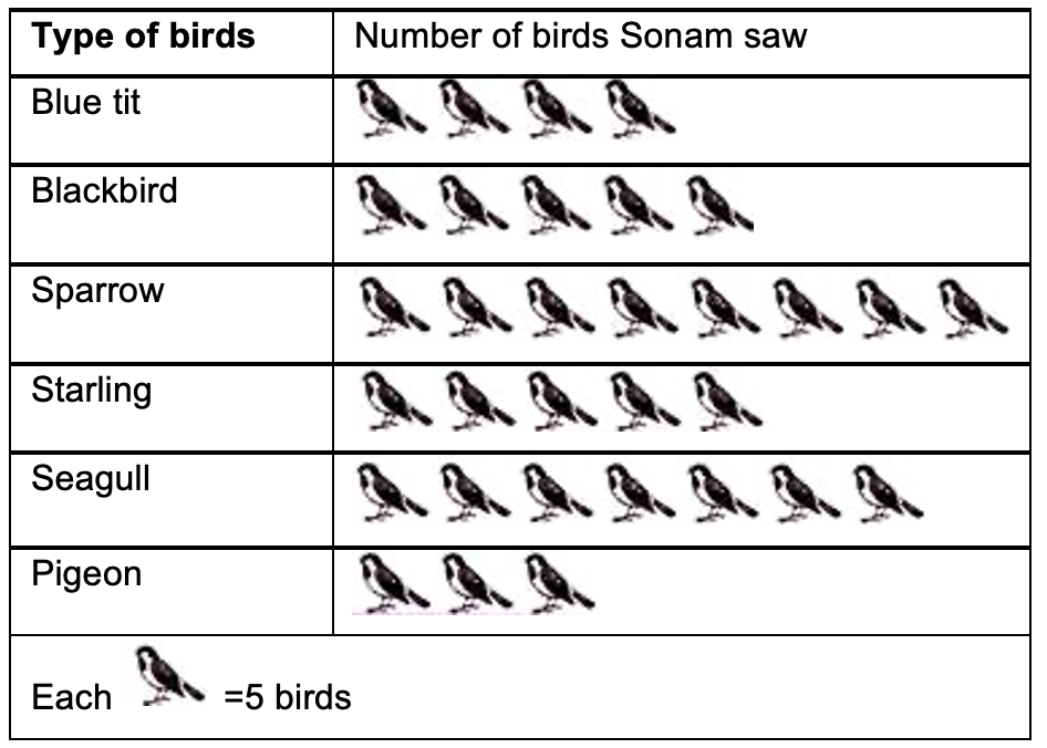 Sonam went to a bird sanctuary and saw the different types of birds