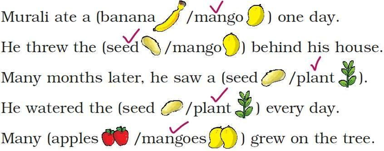 NCERT Solutions for Class 1 English Unit 6 Murali's Mango Tree