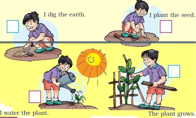 NCERT Solutions for class 1 English unit 6 poem our tree