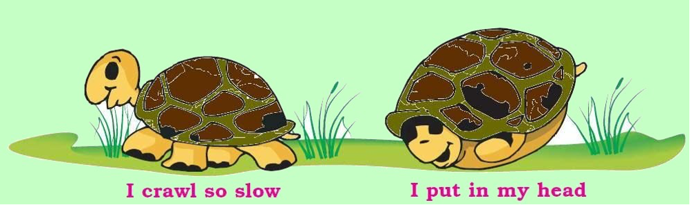 NCERT Solutions for Class 1 English Unit 8 A Little Turtle