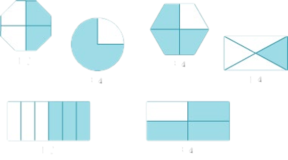 NCERT Solutions for Class 4 Maths Chapter 9 Halves And Quarters