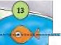 NCERT Solutions for Class 5 Maths Chapter 5 Does it Look The Same