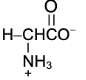 amino acid