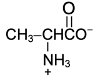 amino acid