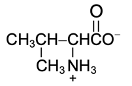 amino acid