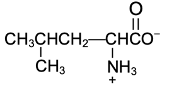 amino acid