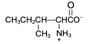 amino acid