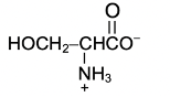 amino acid