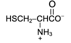 amino acid