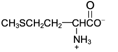 amino acid