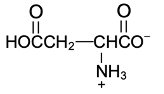 amino acid