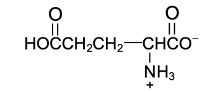 amino acid