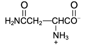 amino acid