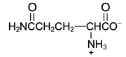 amino acid