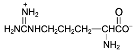 amino acid