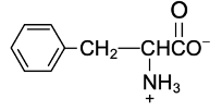 amino acid