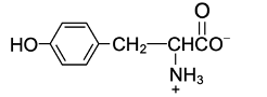 amino acid