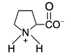 amino acid