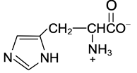 amino acid