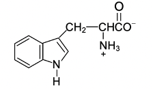 amino acid